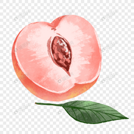 WWW,ooo23·COM网站APPAPP应用