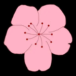 WWW,513av·COM网站APPAPP应用